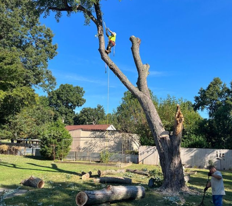 Ventura Tree Services