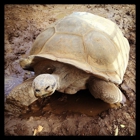 America's Teaching Zoo at Moorpark College