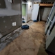 Northeast Power Dry - Water Damage Restoration Company