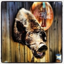 Iron Pig BBQ & Stew - Barbecue Restaurants