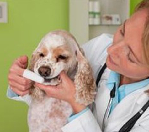 Timonium Animal Hospital  -  Lutherville - Lutherville, MD