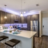 The Oasis at 301 Luxury Apartment Homes gallery