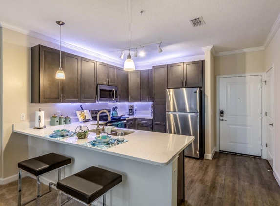 The Oasis at 301 Luxury Apartment Homes - Riverview, FL