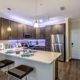 The Oasis at 301 Luxury Apartment Homes