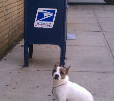 United States Postal Service - Brooklyn, NY