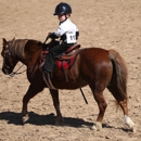 Windridge Stables - Horse Training