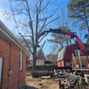 Tall Guy Tree Service - Tree Service