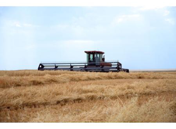 Croker M C Pty Ltd - Marrar, NSW