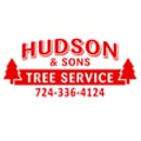Hudson Tree Service - Tree Service