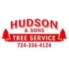 Hudson Tree Service