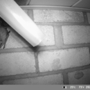 Conscious Critter Removal