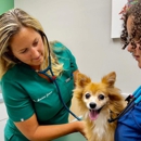 Markham Woods Animal Hospital - Veterinarians