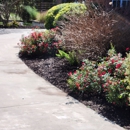 The Perfect Cut Lawn - Landscape Designers & Consultants