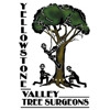 Yellowstone Valley Tree Surgeons gallery