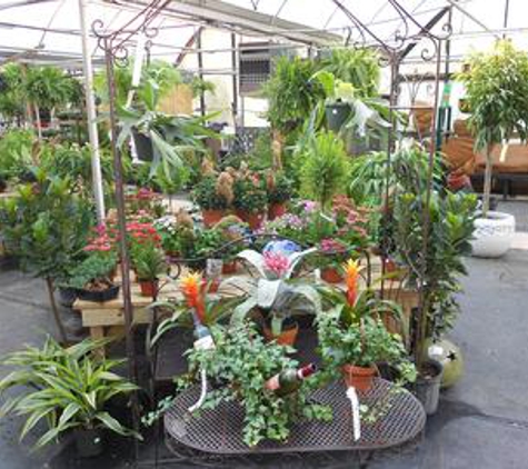 King's Greenhouse Garden Center - Matthews, NC