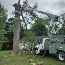Thompson Tree Care and Landscaping - Tree Service