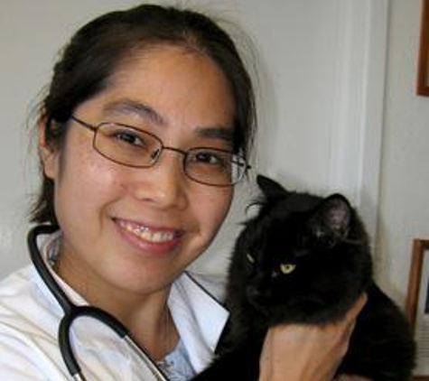 Sacramento Cat Hospital - Carmichael, CA