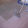 Dirtless Carpet Cleaning gallery