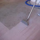 Dirtless Carpet Cleaning