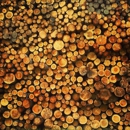 Blandin Paper Co