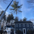 JSP Tree Solutions
