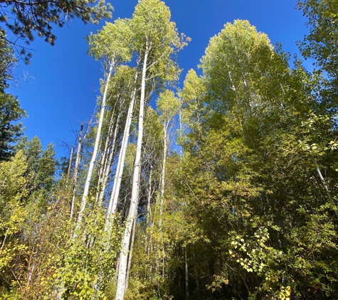 Shevlin Park - Bend, OR