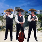 Mariachi Trio De America Director Arturo Garcia