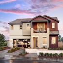 Skyline at Deerlake Ranch By Pulte Homes - Home Builders