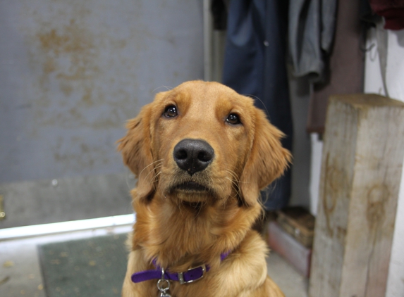 Boden Machining Services - Cambridge, WI. Izzie approved !