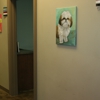 Bottletree Animal Hospital gallery