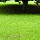 Forever Green Lawn & Landscaping - Landscape Contractors