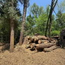 All Trees Considered