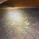 Kilter Termite and Pest Control