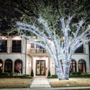 Corpus Christi Christmas Light Co