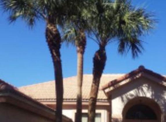 Peace of Mind Tree Service Enterprise, LLC - Palm Bay, FL