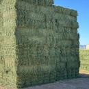 White Stallion Hay & Ranch - Ranches