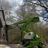 Snyder Logging & Tree Service gallery