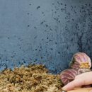 Drake Pest Management - Pest Control Equipment & Supplies