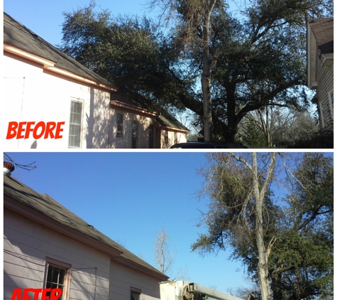 The Arbory Tree Service - Beech Island, SC