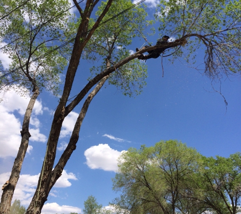 Titan Tree Service - Sun Valley, NV