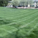 Cedar Tree Properties - Landscaping & Lawn Services