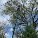 Anthony's Tree Service & Landscape - Recycling Centers
