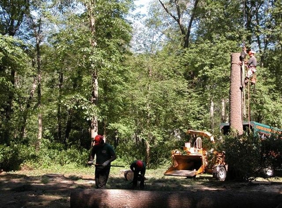 Glynn Tree Experts - Hanover, MA