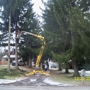 Fagan Tree Service