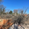 Triad Tree Removal gallery