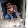 New Image Flooring gallery
