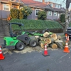 Urban Timber Tree Service Inc gallery