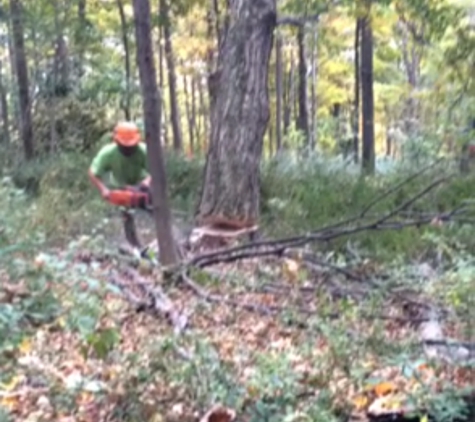 Grabeldinger Firewood & Logging - Clinton, NY