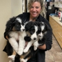 Scottsdale Veterinary Clinic