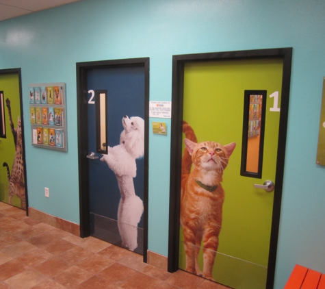 Banfield Pet Hospital - Springfield, VA